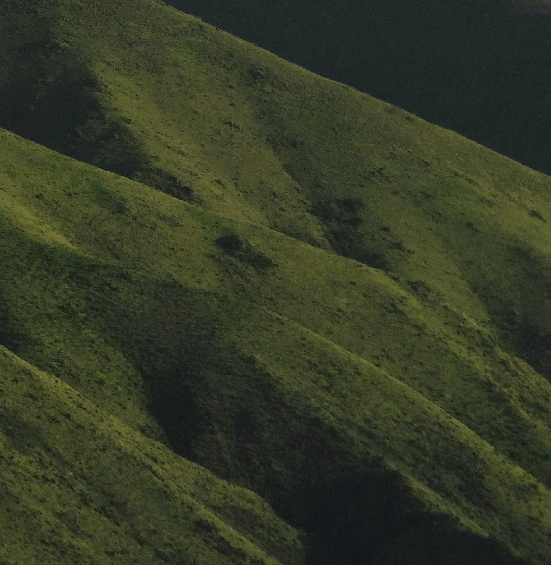 ADL Background