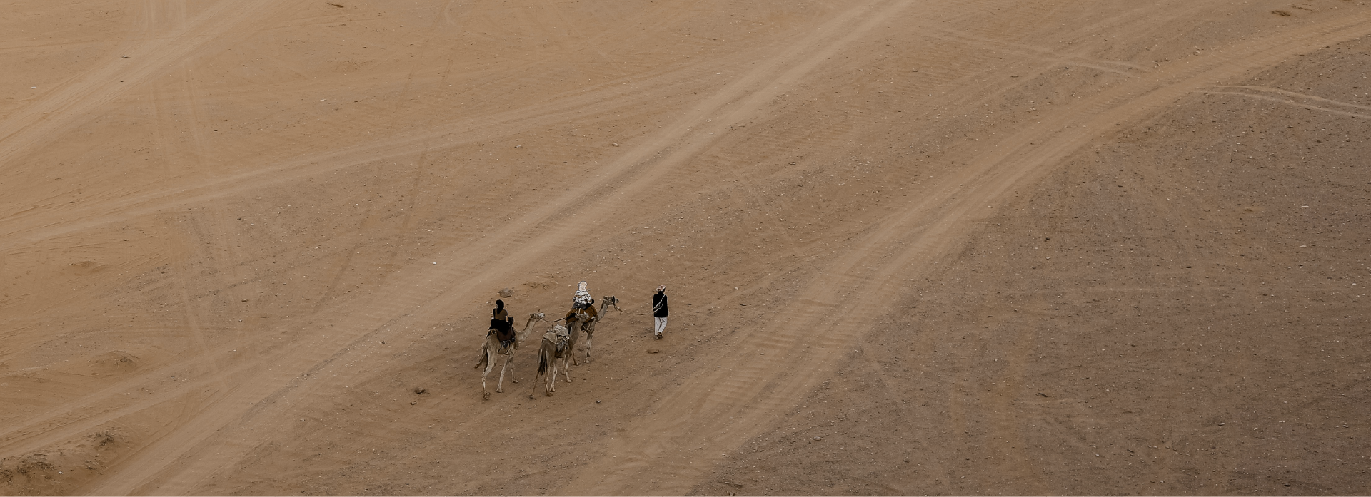 Desert Caravan